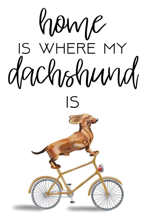 Dachshund