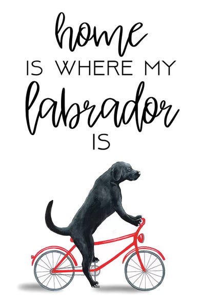 Labrador Retrievers: Labrador by Coco de Paris