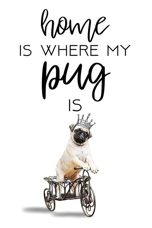 Pug