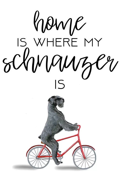 Schnauzer