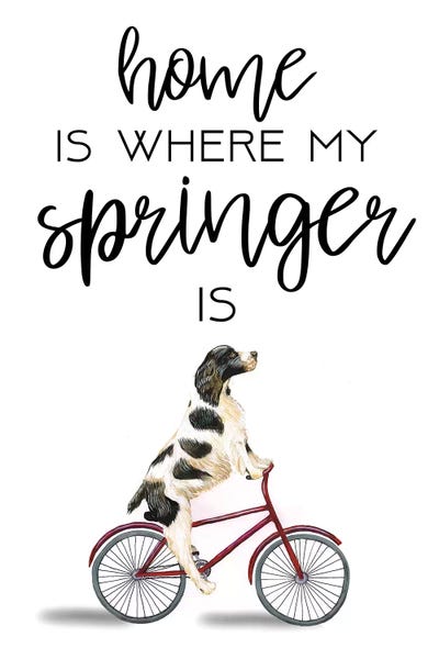 Spaniels: Springer by Coco de Paris