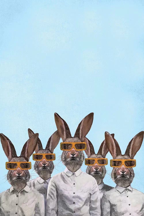 Rabbits With 3D Spectacles