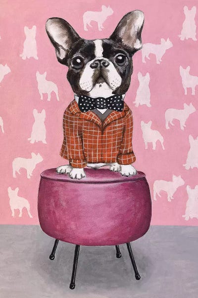French Bulldogs: Bulldog On Pouf by Coco de Paris