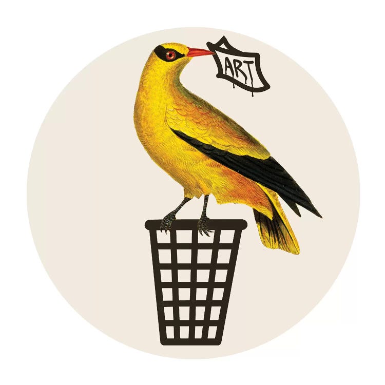 Bird On Dustbin