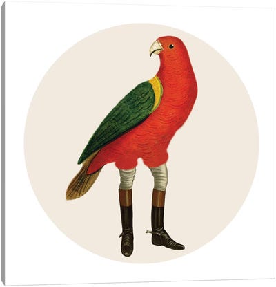 Bird With Boots Canvas Art Print - Boots