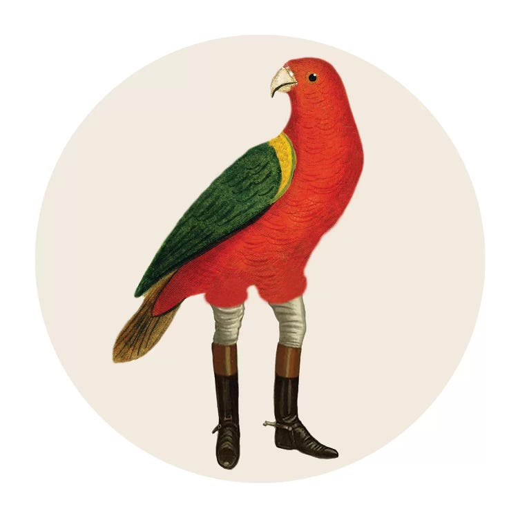 Bird With Boots by Coco de Paris wall art