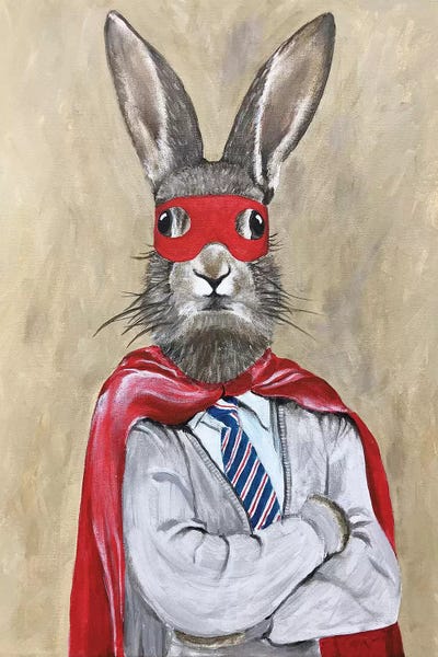 Fictional Characters: Rabbit Superman by Coco de Paris