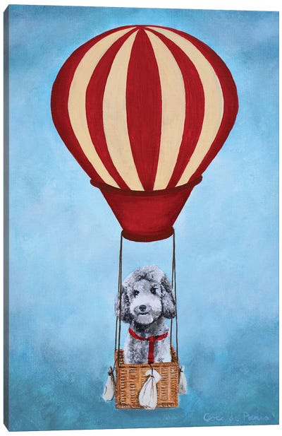 Poodle With Hot Airballoon Canvas Art Print - Poodle Art