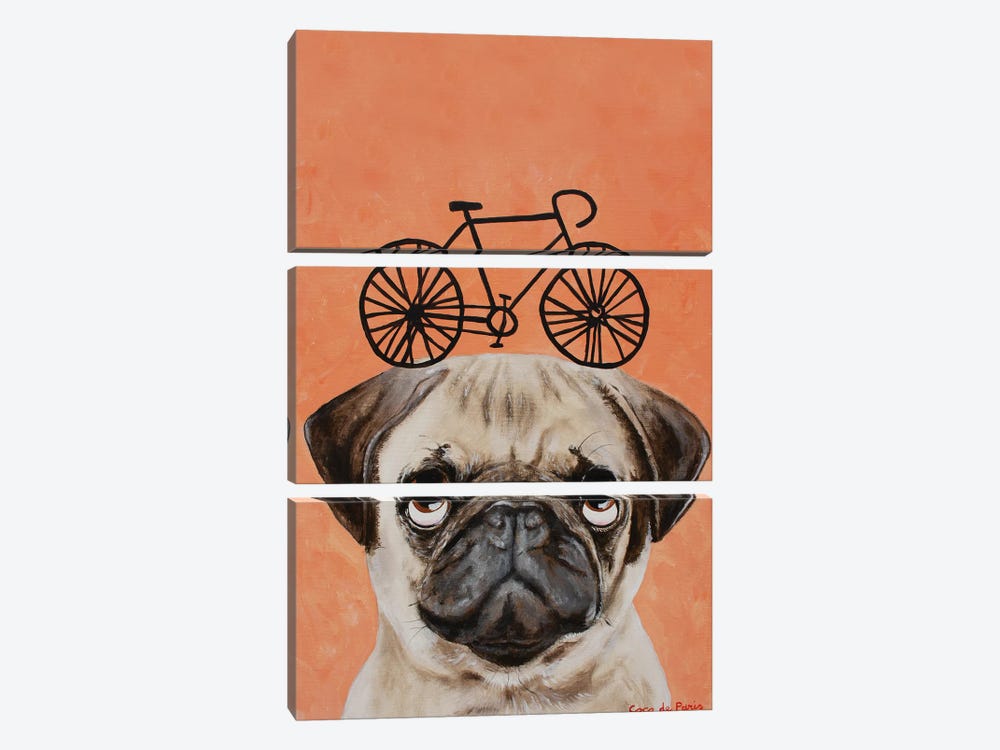 Pug With Bicycle by Coco de Paris 3-piece Canvas Wall Art