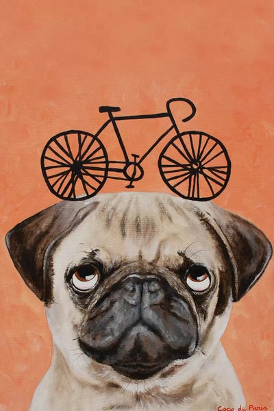 Pugs: Pug With Bicycle by Coco de Paris