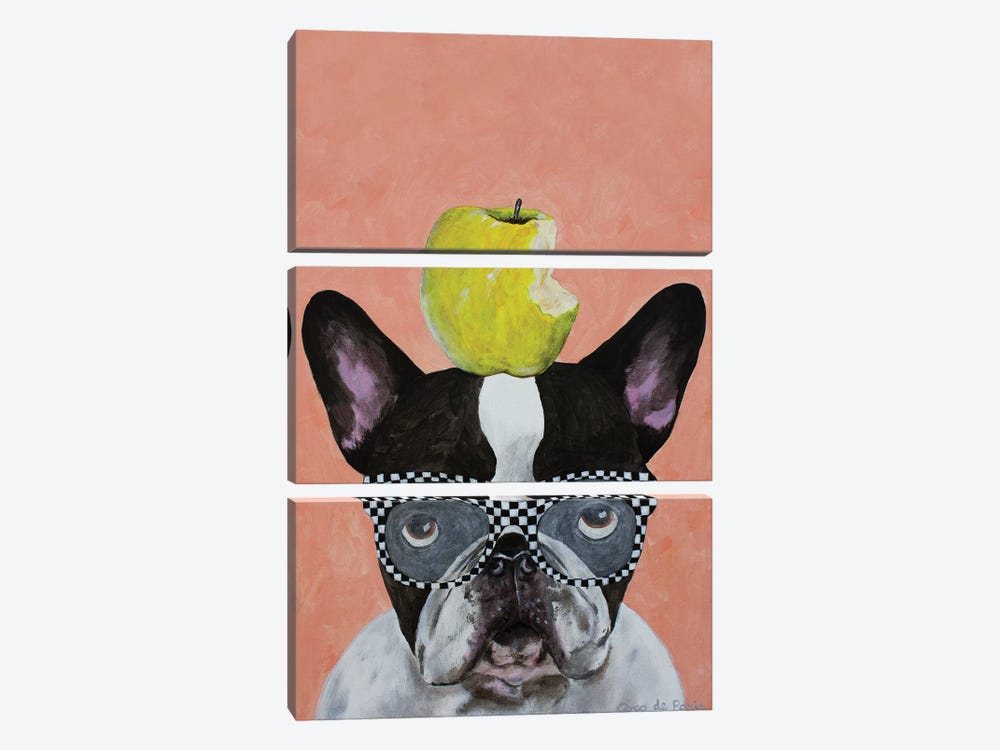 French Bulldog With Apple by Coco de Paris 3-piece Art Print