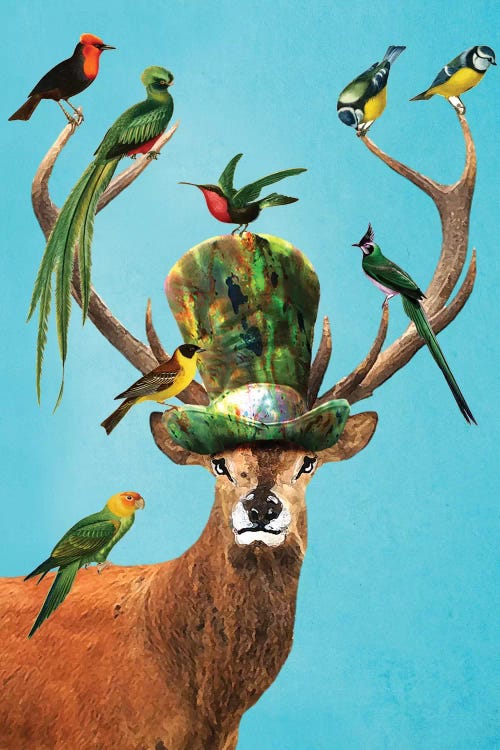 Deer With Birds