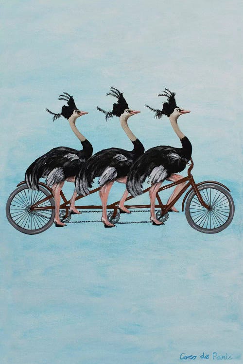 Ostriches On Bicycle