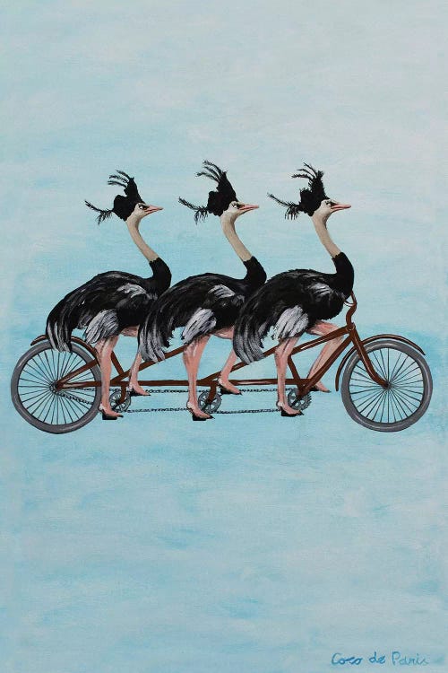 Ostriches On Bicycle by Coco de Paris wall art