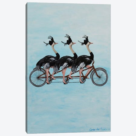 Ostriches On Bicycle Canvas Print #COC344} by Coco de Paris Canvas Wall Art