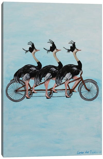 Ostriches On Bicycle Canvas Art Print - Ostrich Art