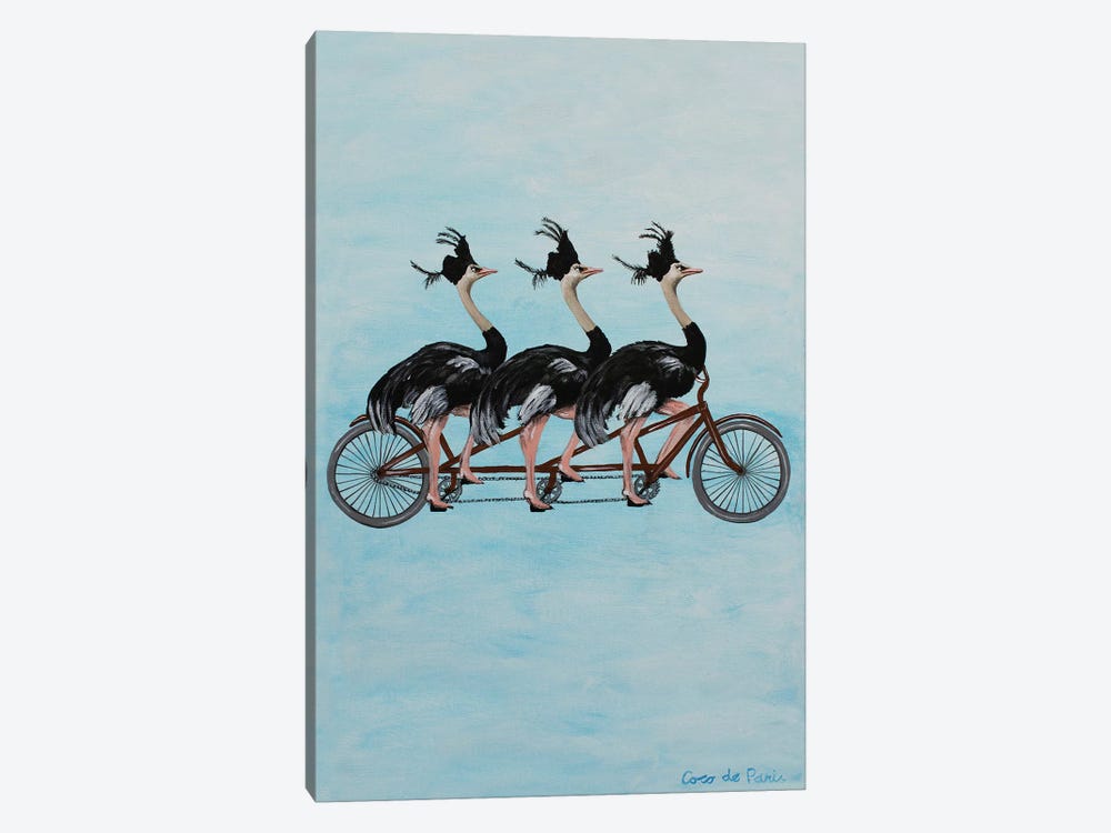 Ostriches On Bicycle by Coco de Paris 1-piece Canvas Art Print