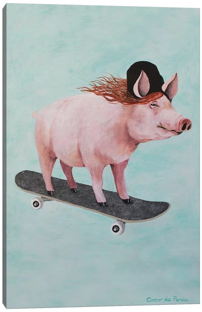 Pig Skateboarding Canvas Art Print - Skateboarding