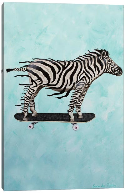 Zebra Skateboarding Canvas Art Print - Skateboarding Art