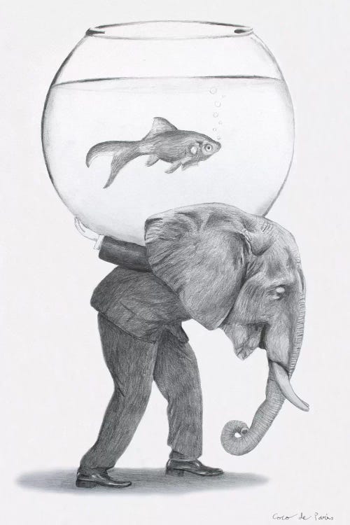 Elephant With Fishbowl