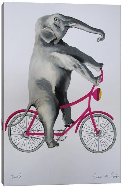 Elephant On Bicycle Canvas Art Print - Bicycle Art