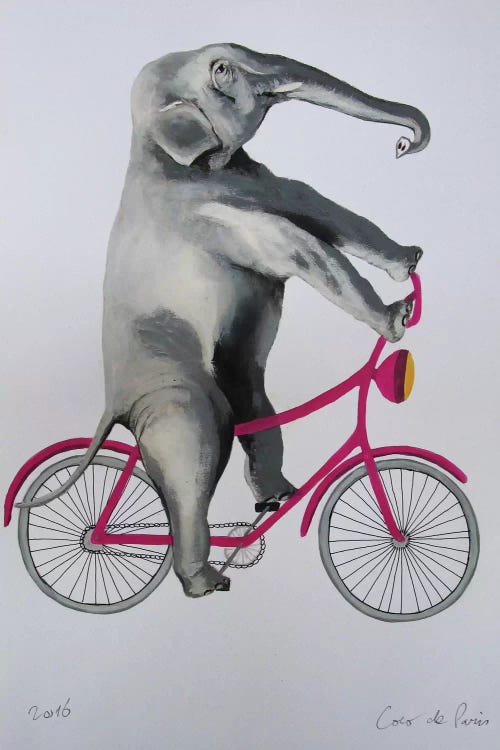 Elephant On Bicycle