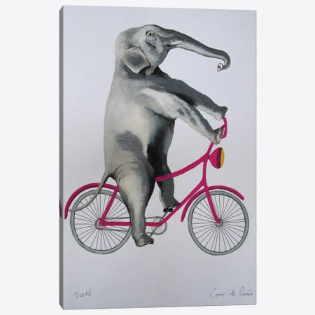 Elephant On Bicycle Canvas Print #COC35} by Coco de Paris Canvas Art