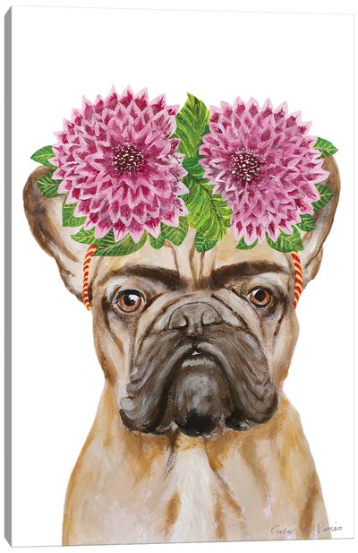 Frida Kahlo Frenchie White Canvas Art Print - French Bulldog Art