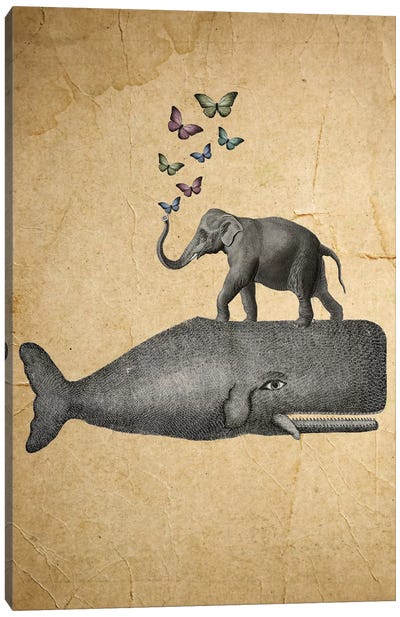 Elephant On Whale Canvas Art Print - Whale Art