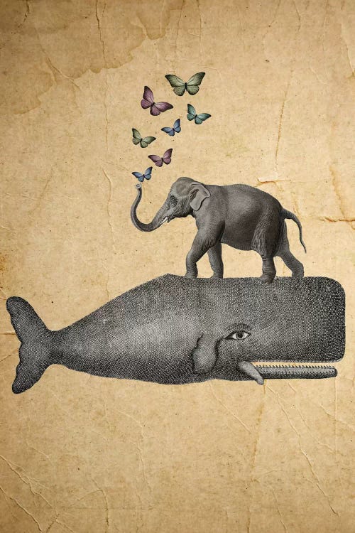 Elephant On Whale