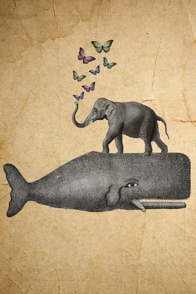 Whales: Elephant On Whale by Coco de Paris