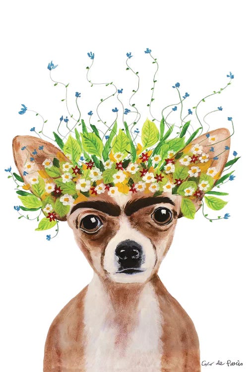 Frida Kahlo Chihuahua White