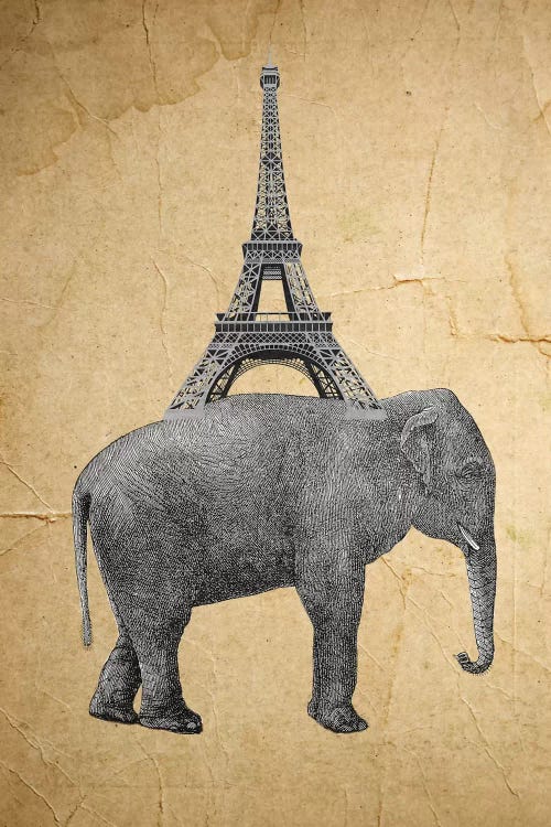 Elephant With Eiffel Tower by Coco de Paris wall art