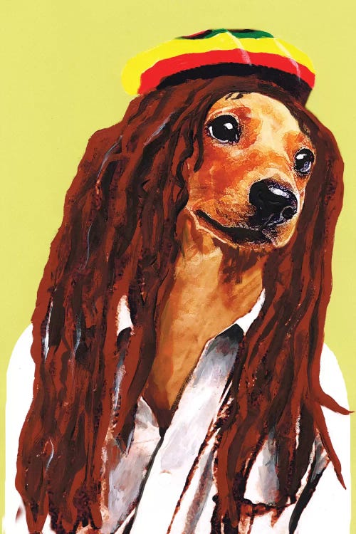 Bob Marley Dachshund