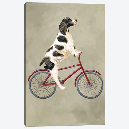 English Springer On Bicycle Canvas Print #COC40} by Coco de Paris Canvas Art