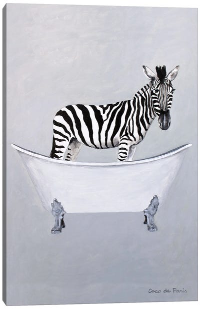 Zebra in bathtub Canvas Art Print