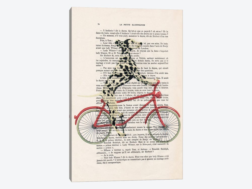 Dalmatian Cycling by Coco de Paris 1-piece Canvas Artwork