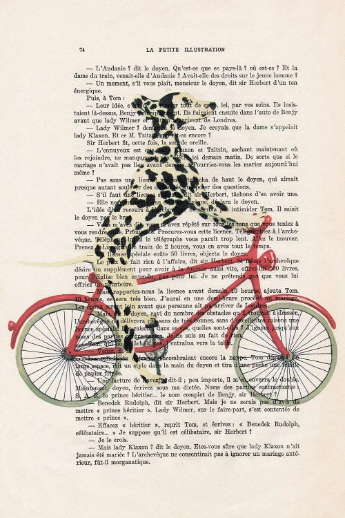 Dalmatian Cycling