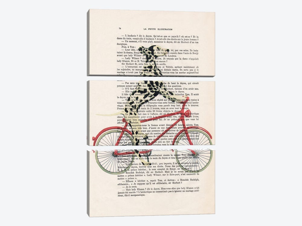 Dalmatian Cycling by Coco de Paris 3-piece Canvas Artwork