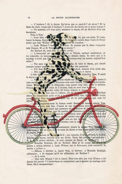 Dalmatians: Dalmatian Cycling by Coco de Paris