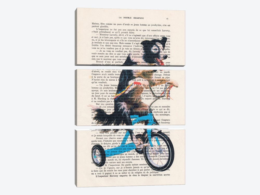 Doggy On Bicycle by Coco de Paris 3-piece Canvas Art Print