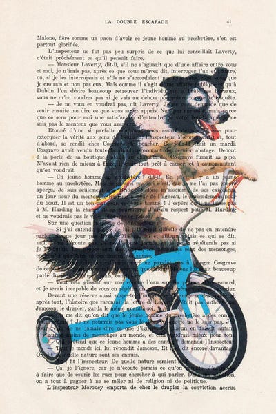 Doggy On Bicycle