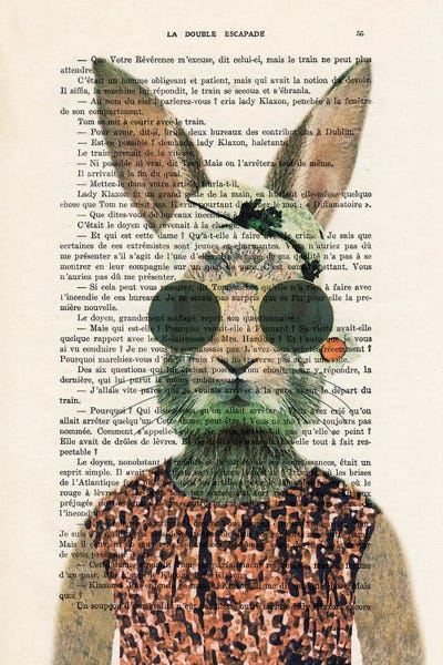 Coco de Paris: Vintage Rabbit by Coco de Paris