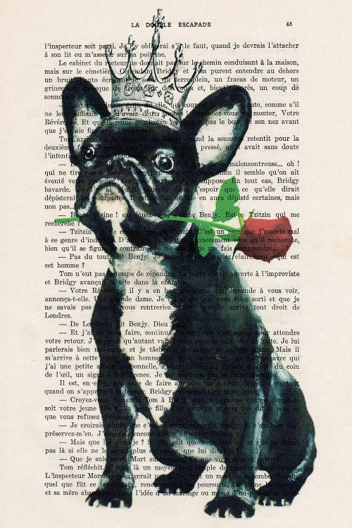 Boston Terrier With Rose by Coco de Paris wall art