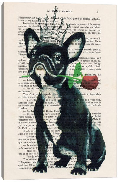 Boston Terrier With Rose Canvas Art Print - Boston Terrier Art