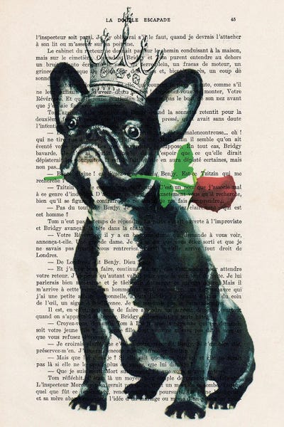 Coco de Paris: Boston Terrier With Rose by Coco de Paris
