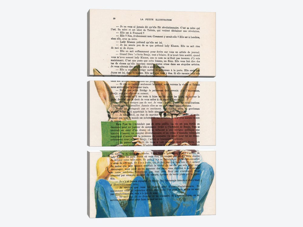 Reading Rabbits by Coco de Paris 3-piece Canvas Art