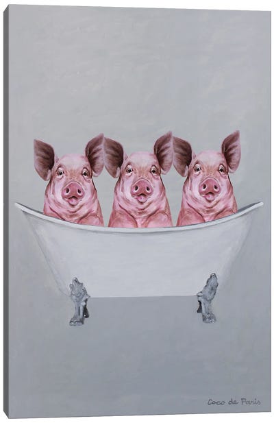 Pigs In A Bathtub Canvas Art Print - Pig Art