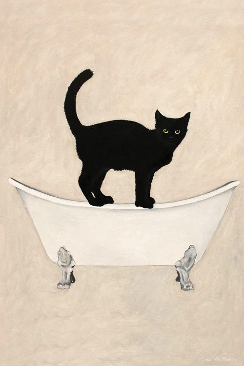 Black Cat On Bathtub