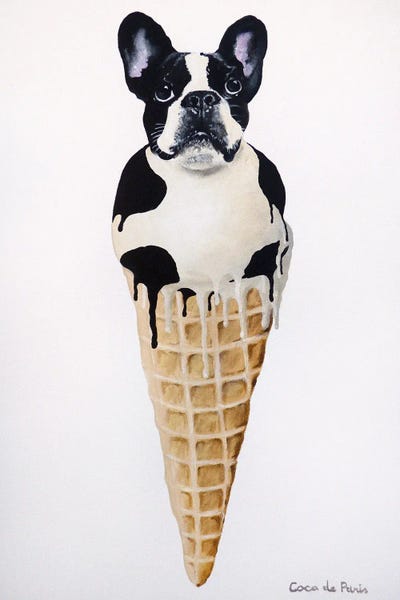 French Bulldogs: Ice Cream French Bulldog by Coco de Paris
